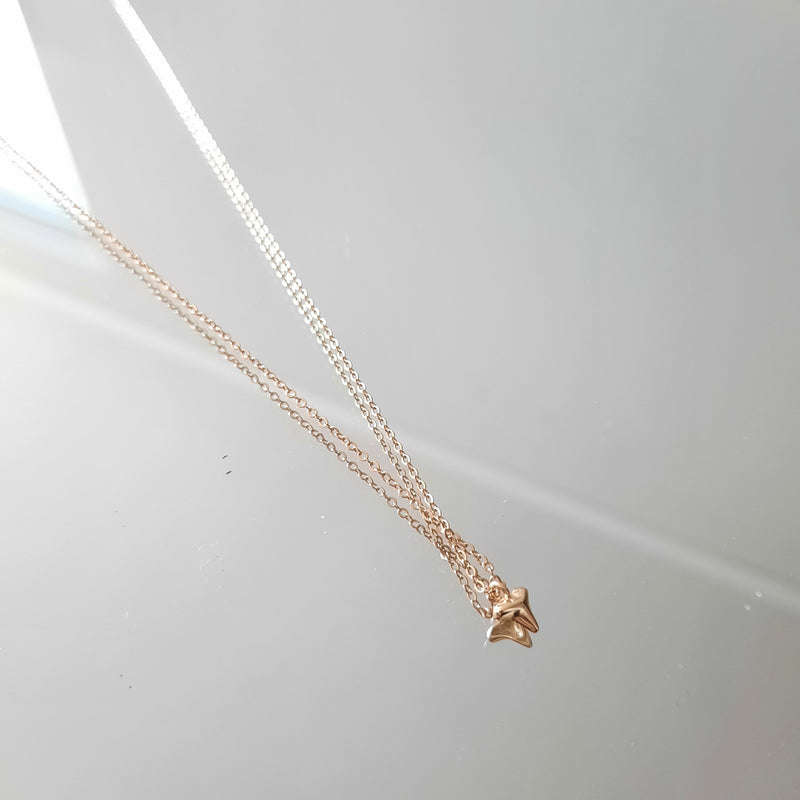 Cadena Tarek